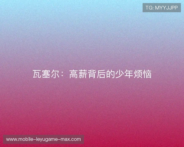 瓦塞尔:高薪背后的少年烦恼 瓦塞尔:高薪背后的少年烦恼